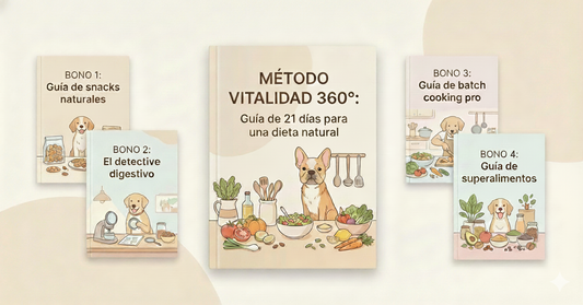 Método "Vitalidad 360"+ 4 BONOS de regalo